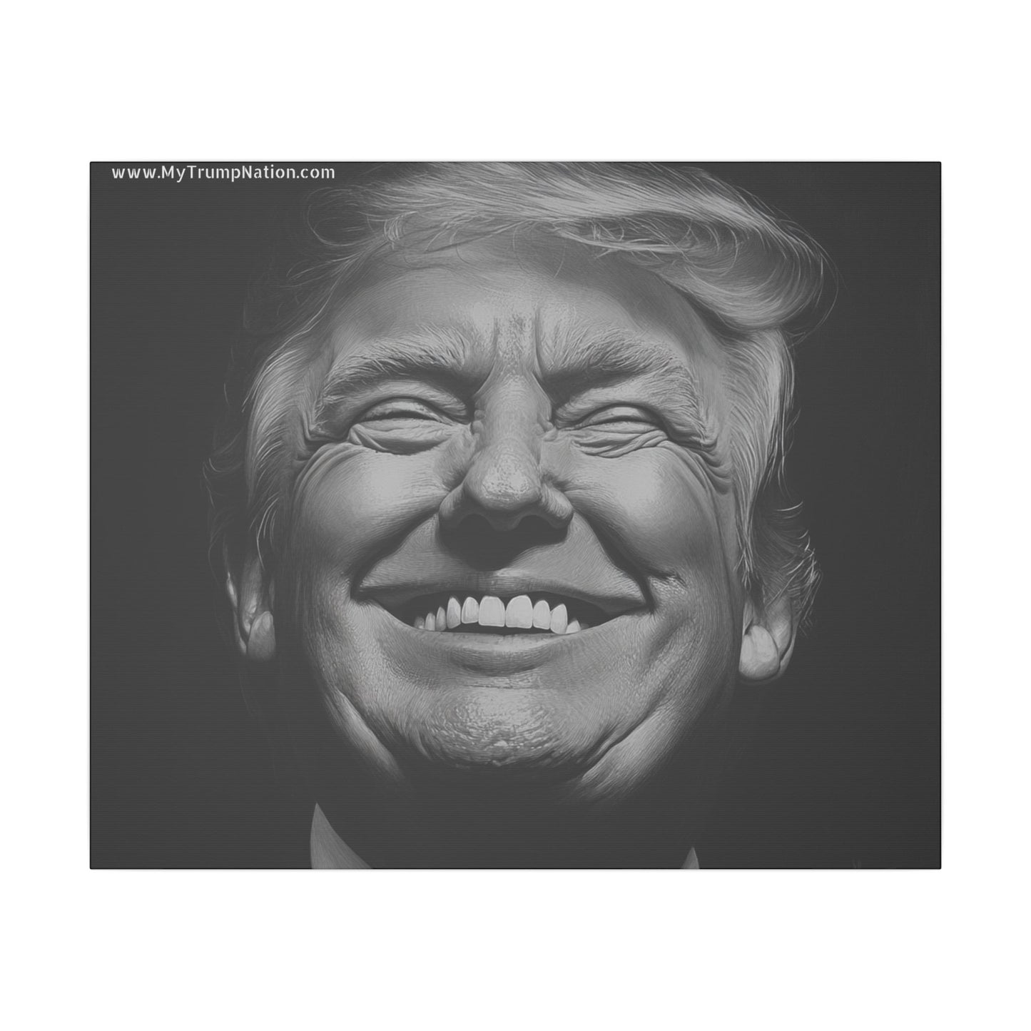 Donald Trump Black & White Canvas Art