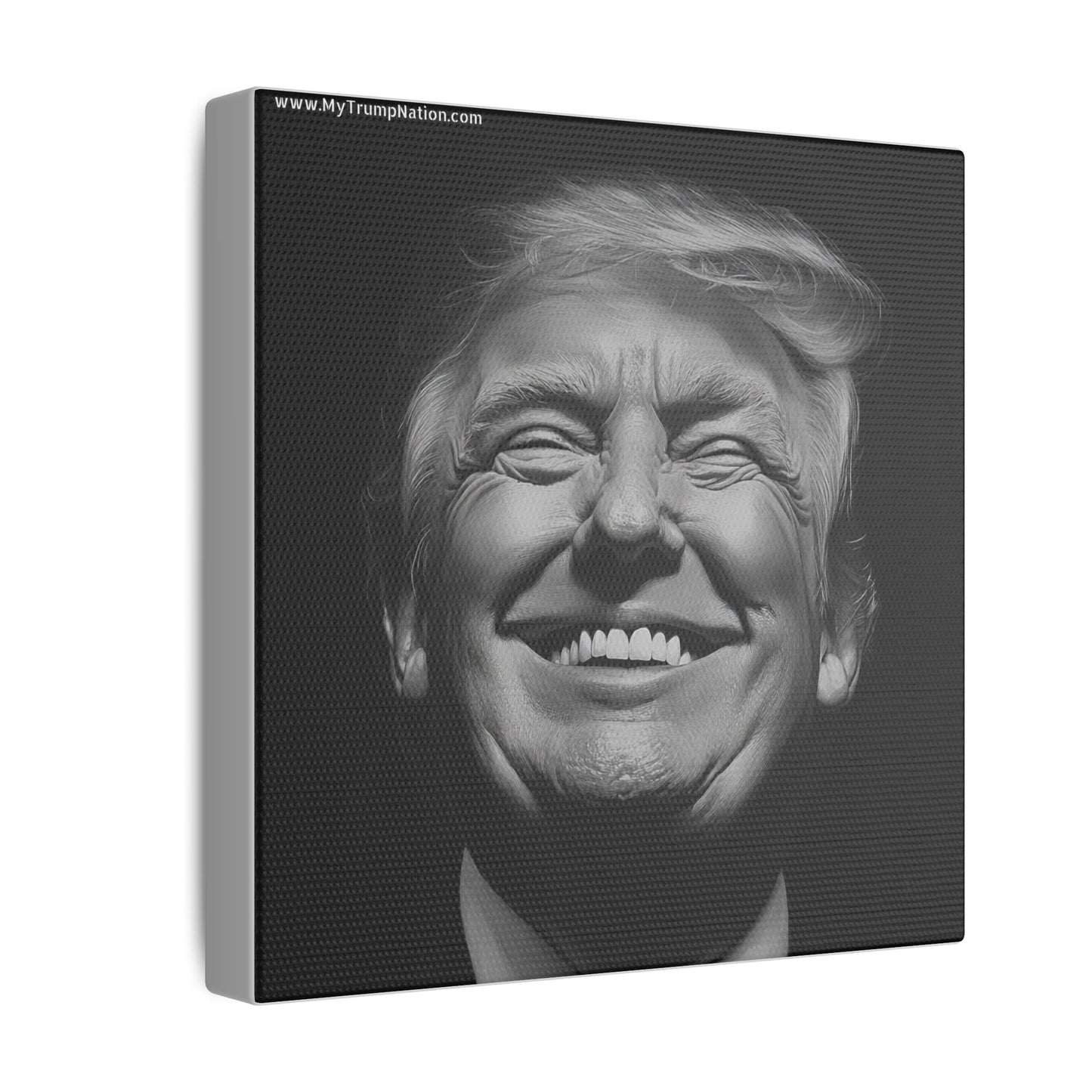 Donald Trump Black & White Canvas Art