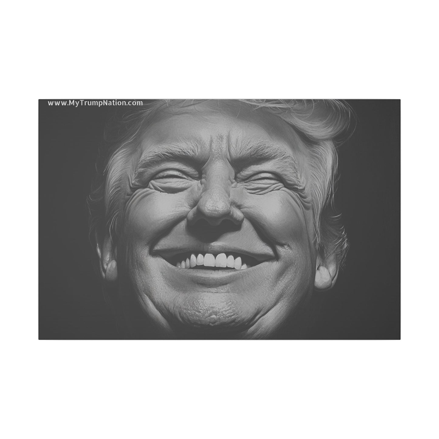 Donald Trump Black & White Canvas Art