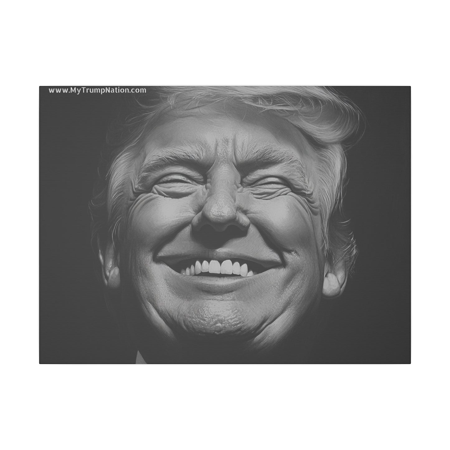 Donald Trump Black & White Canvas Art