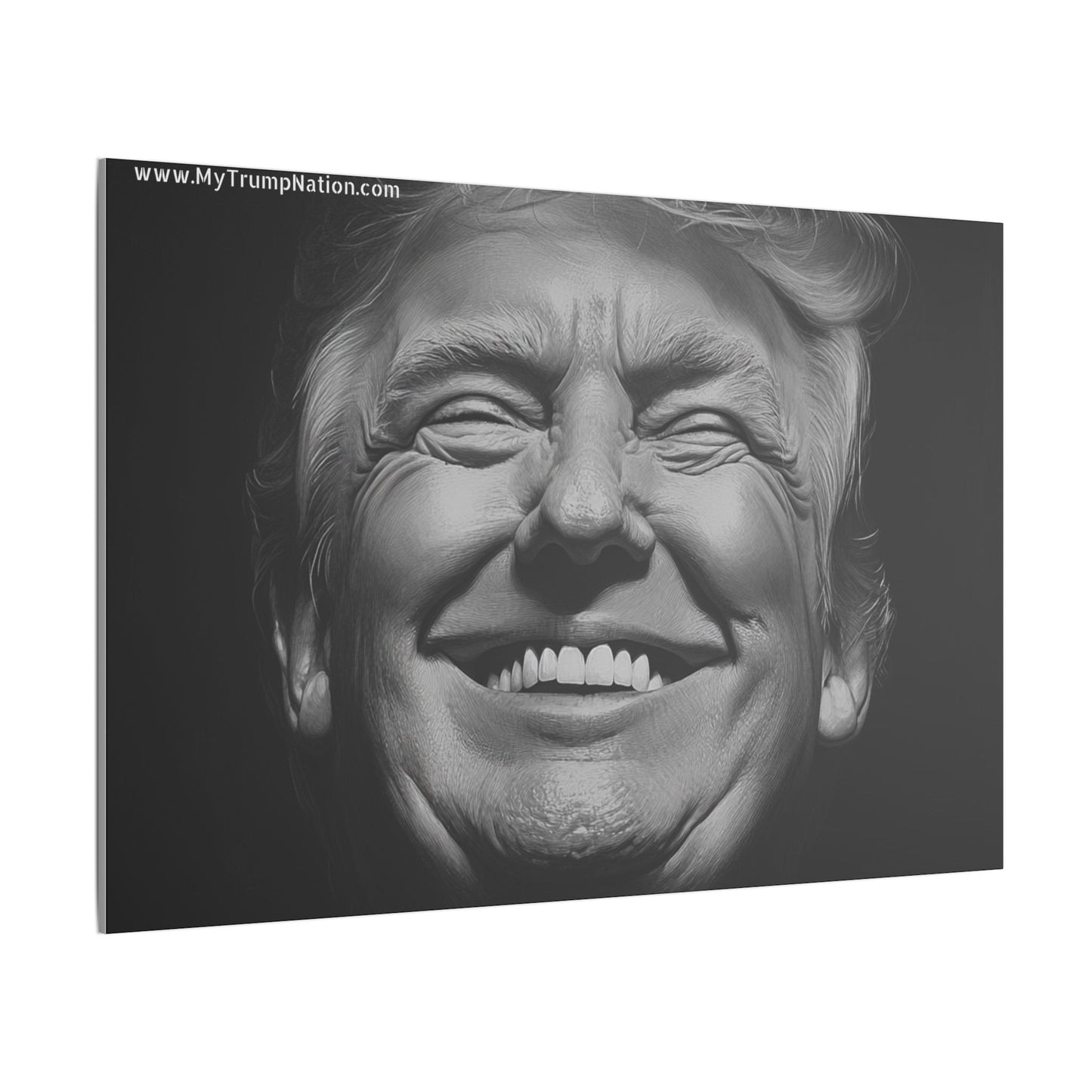 Donald Trump Black & White Canvas Art