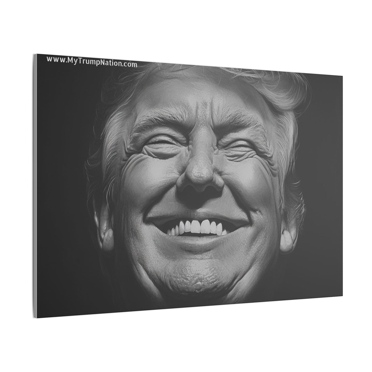 Donald Trump Black & White Canvas Art