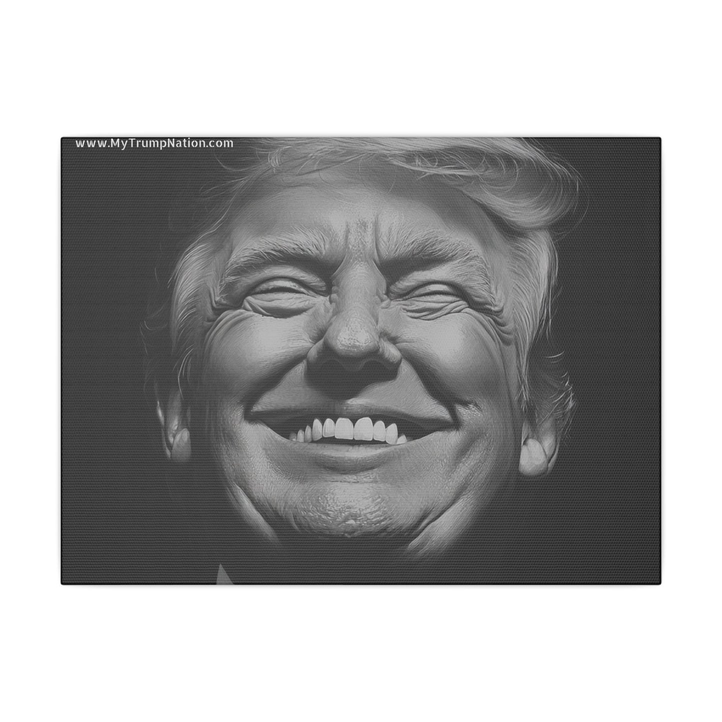 Donald Trump Black & White Canvas Art