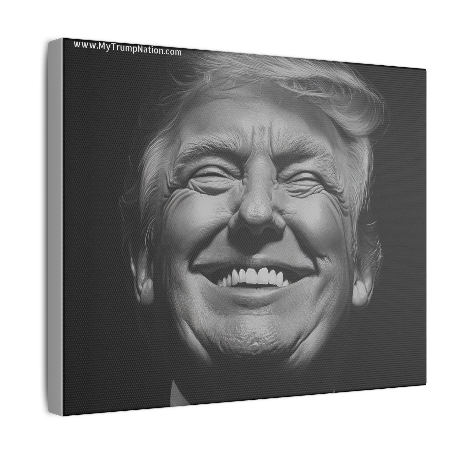 Donald Trump Black & White Canvas Art