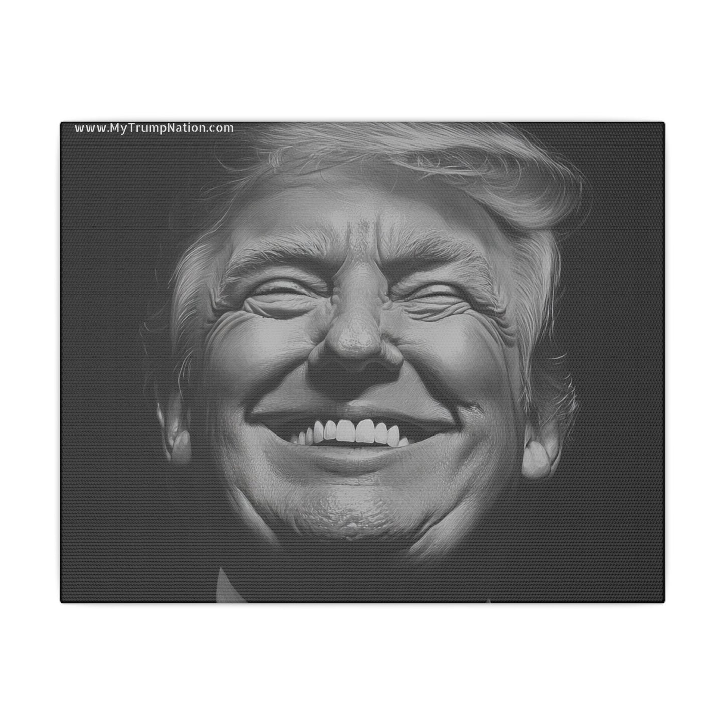 Donald Trump Black & White Canvas Art