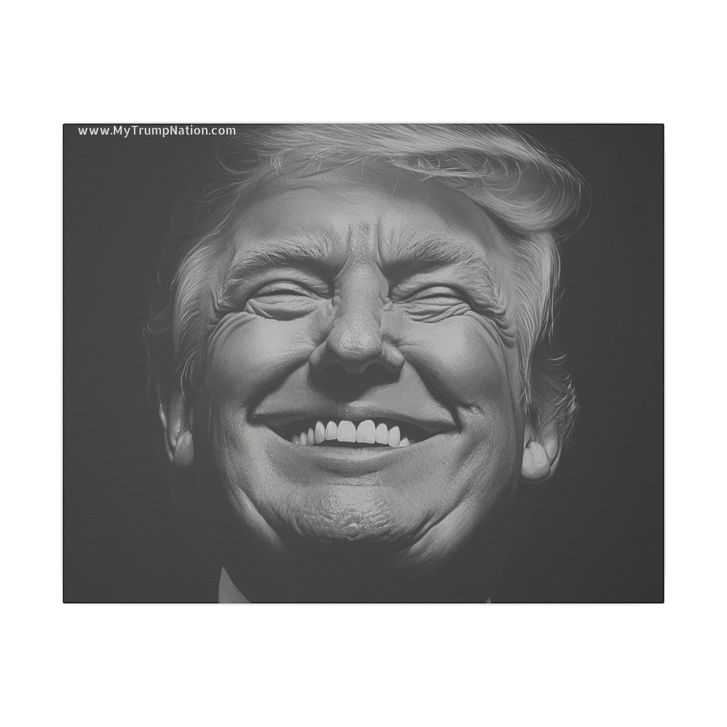 Donald Trump Black & White Canvas Art