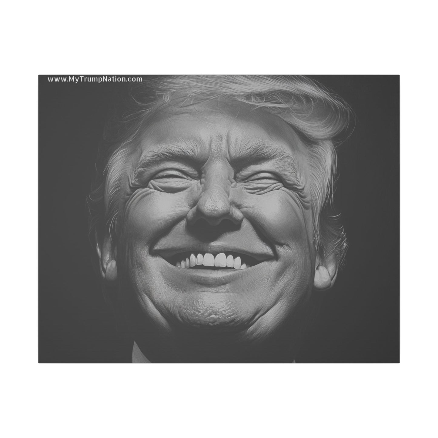 Donald Trump Black & White Canvas Art
