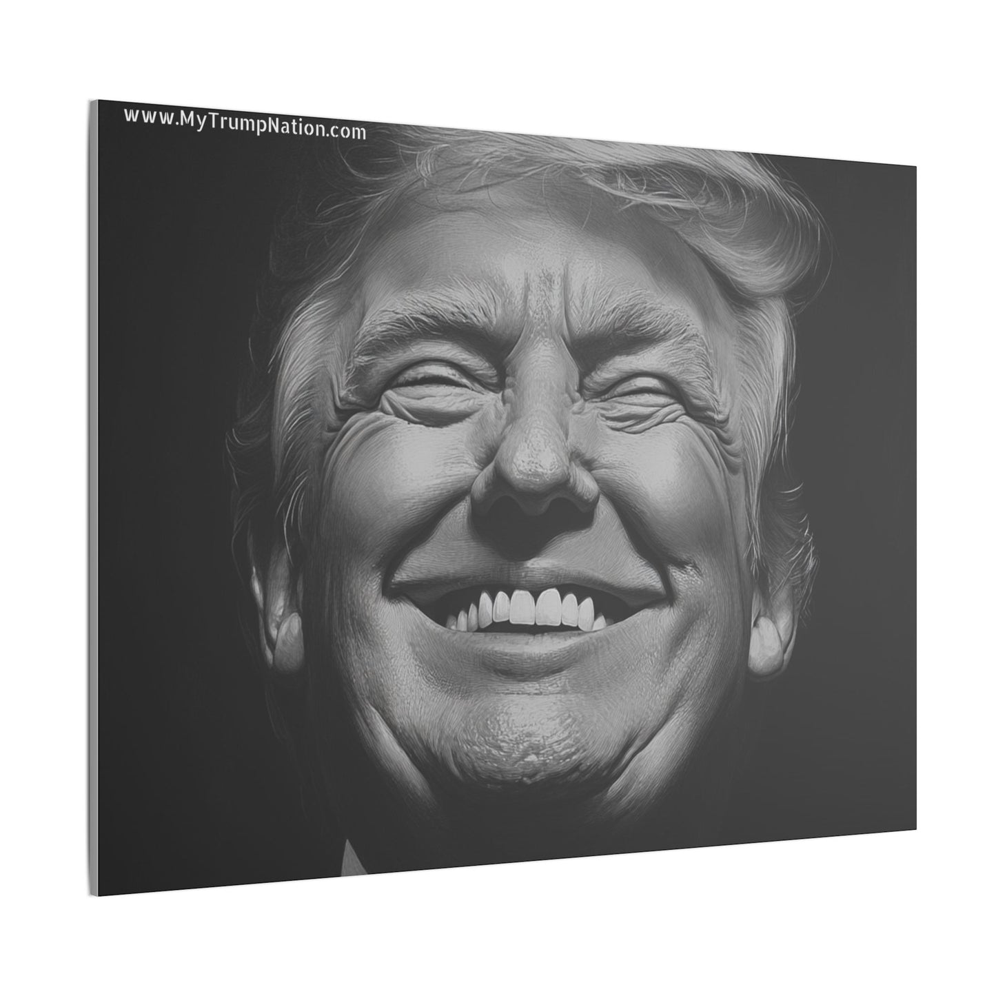 Donald Trump Black & White Canvas Art