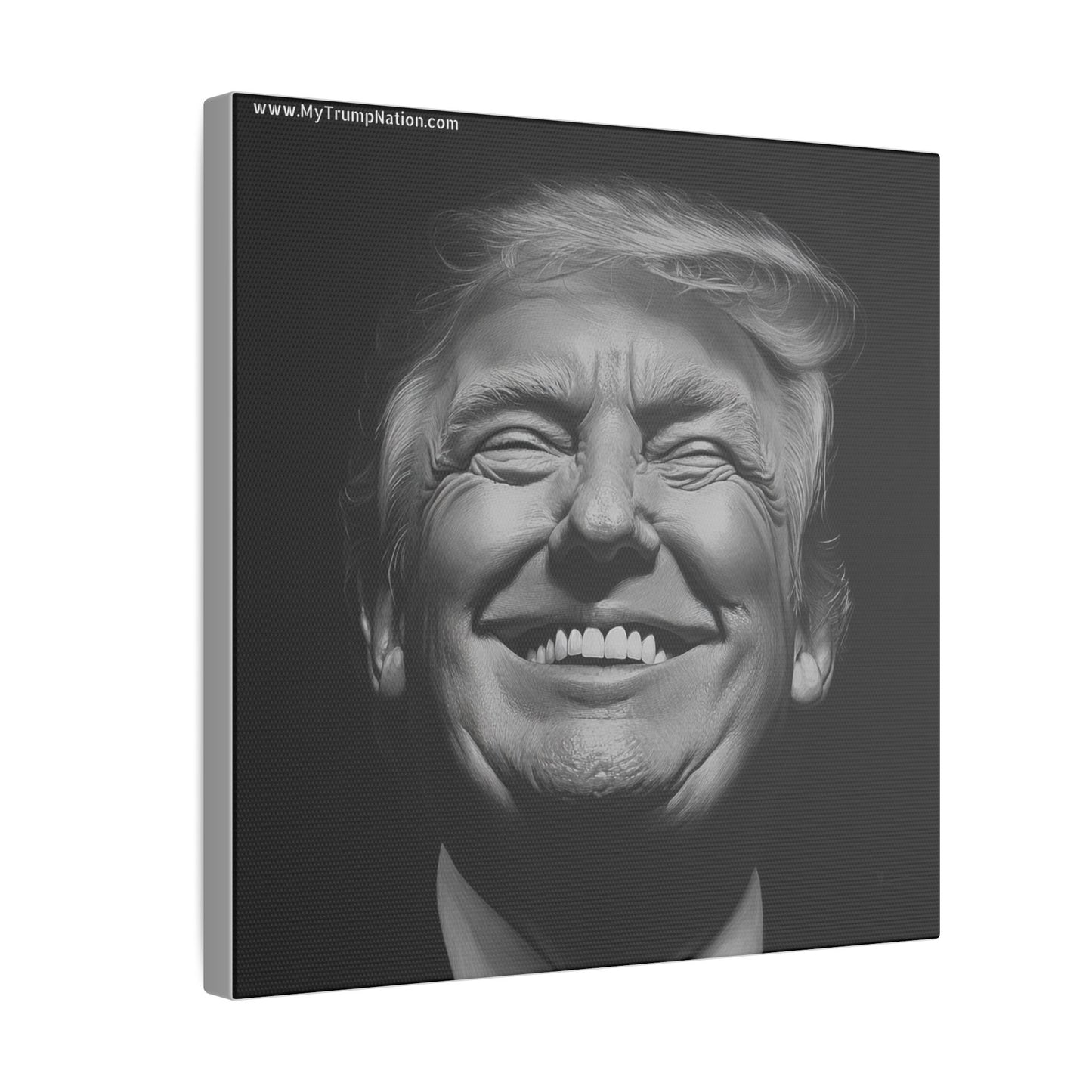 Donald Trump Black & White Canvas Art