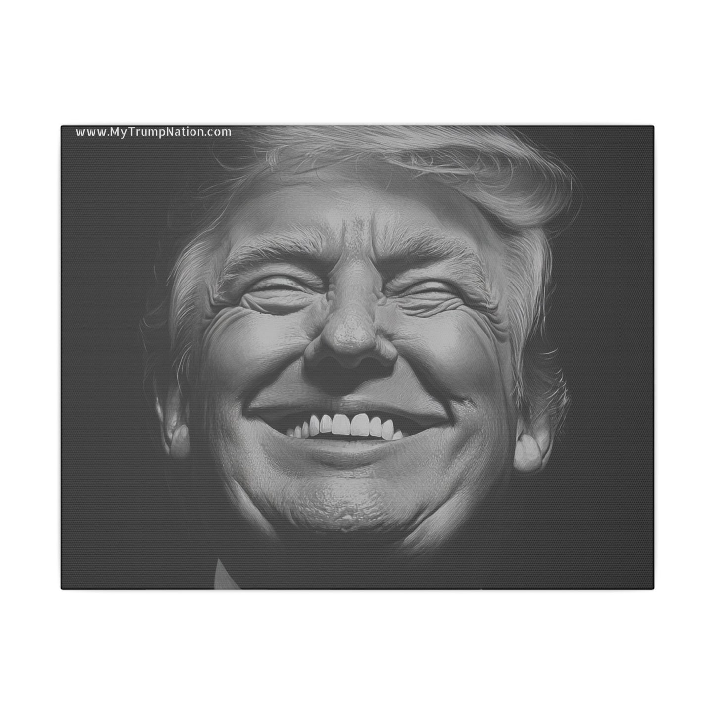 Donald Trump Black & White Canvas Art